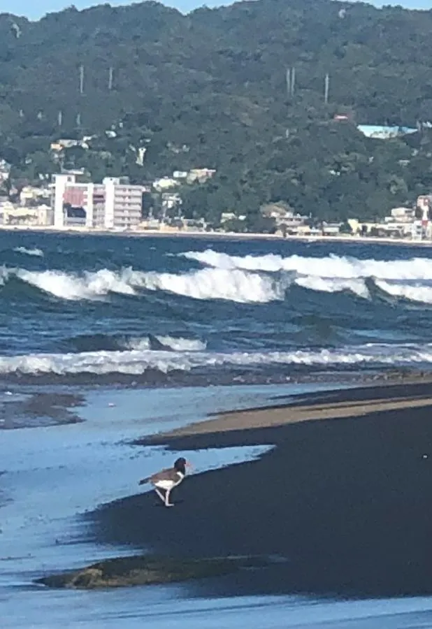 Atlantic Wave Villa Aguada